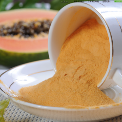Papaya powder for beverage