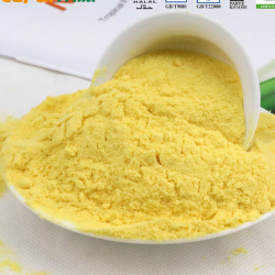 Passion Fruit Powder for Food Ingredients
