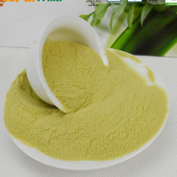 Balsam Pear Powder Bitter Melon Powder for Food Ingredients