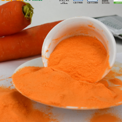 Carrot Powder for  Food and Beverage