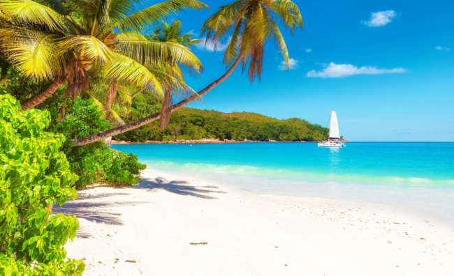 Go Caribbean